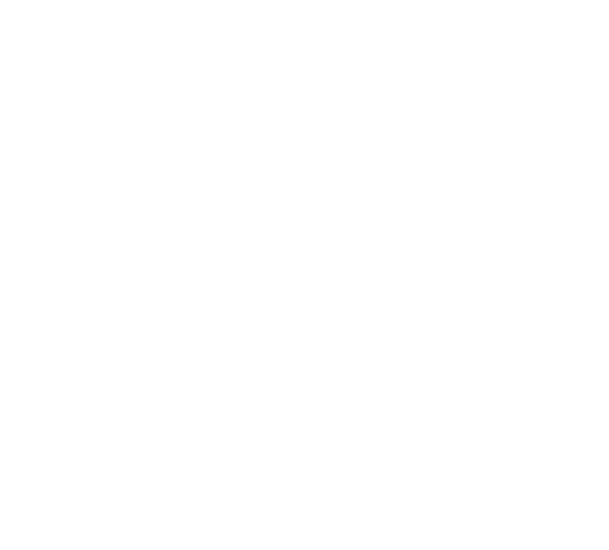 CA DEORAG WEALTH MATRIX